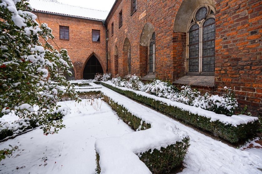 Wirydarz w Muzeum Architektury we Wrocławiu
